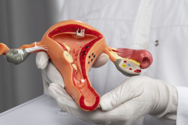 pap smear check-up pap smear check-up